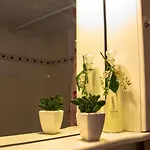 Apartmán Evas House *